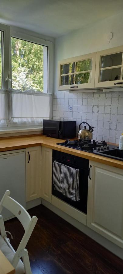 Na Lesnej Apartment Kowary Bagian luar foto